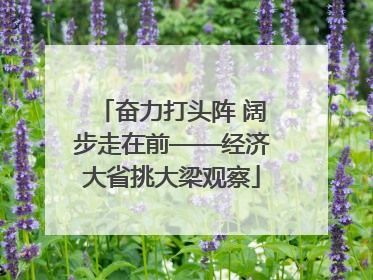 奋力打头阵 阔步走在前——经济大省挑大梁观察