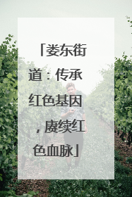 娄东街道：传承红色基因，赓续红色血脉