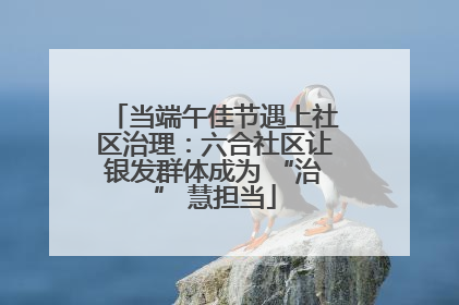 当端午佳节遇上社区治理：六合社区让银发群体成为 “治” 慧担当