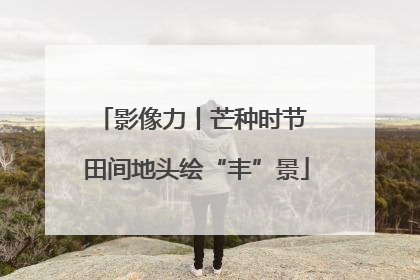 影像力丨芒种时节 田间地头绘“丰”景