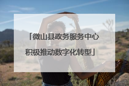 微山县政务服务中心积极推动数字化转型