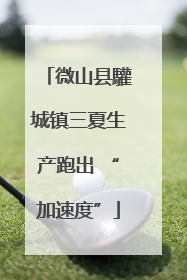 微山县驩城镇三夏生产跑出 “加速度”