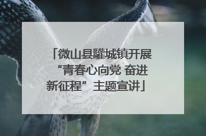 微山县驩城镇开展“青春心向党 奋进新征程”主题宣讲