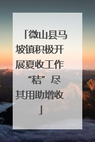 微山县马坡镇积极开展夏收工作 “秸”尽其用助增收
