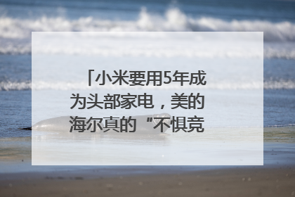 小米要用5年成为头部家电，美的海尔真的“不惧竞争”？｜热财经