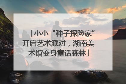 小小“种子探险家”开启艺术派对，湖南美术馆变身童话森林