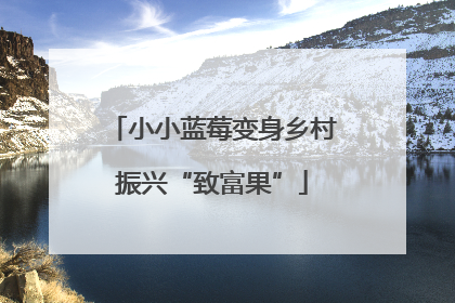 小小蓝莓变身乡村振兴“致富果”