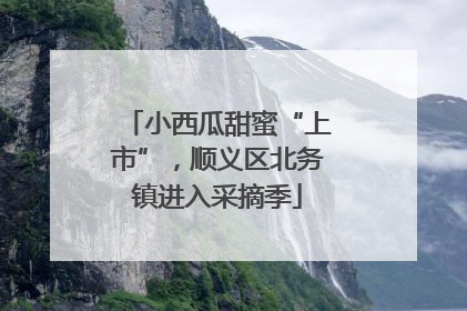 小西瓜甜蜜“上市”，顺义区北务镇进入采摘季