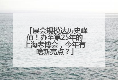 展会规模达历史峰值！办至第25年的上海老博会，今年有啥新亮点？
