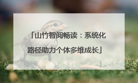 山竹智阅畅读：系统化路径助力个体多维成长
