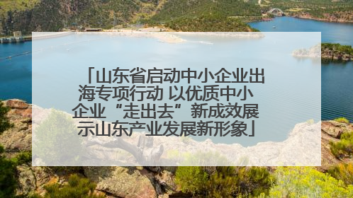 山东省启动中小企业出海专项行动 以优质中小企业“走出去”新成效展示山东产业发展新形象