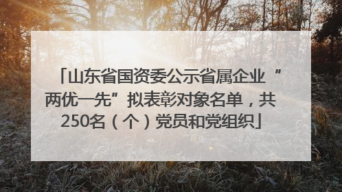 山东省国资委公示省属企业“两优一先”拟表彰对象名单，共250名（个）党员和党组织