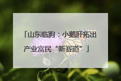 山东临朐：小鹅肝拓出产业富民“新赛道”