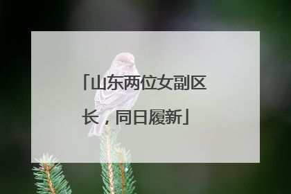 山东两位女副区长，同日履新