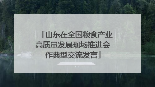 山东在全国粮食产业高质量发展现场推进会作典型交流发言