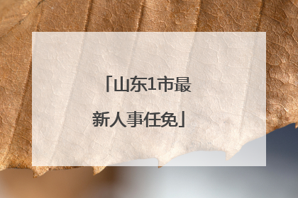 山东1市最新人事任免