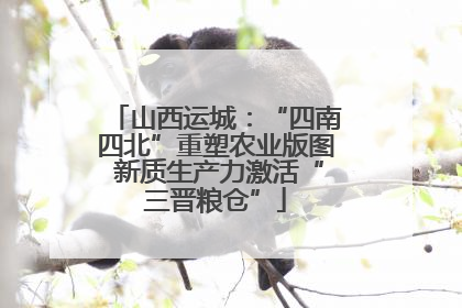 山西运城：“四南四北”重塑农业版图 新质生产力激活“三晋粮仓”