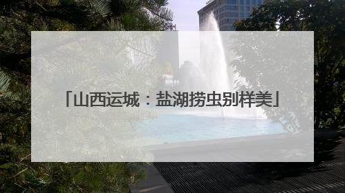 山西运城：盐湖捞虫别样美