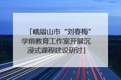 峨眉山市“刘春梅”学前教育工作室开展沉浸式课程建设研讨