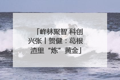 峰林聚智 科创兴张丨贺健：葛根渣里“炼”黄金