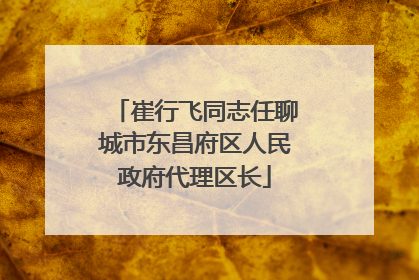 崔行飞同志任聊城市东昌府区人民政府代理区长