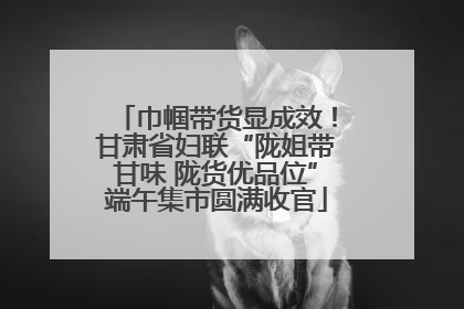 巾帼带货显成效！甘肃省妇联“陇姐带甘味 陇货优品位”端午集市圆满收官