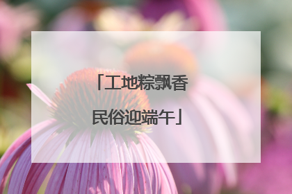 工地粽飘香 民俗迎端午