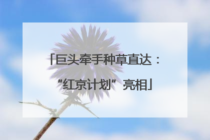 巨头牵手种草直达：“红京计划”亮相