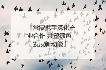 常蒙携手深化产业合作 共塑绿色发展新动能
