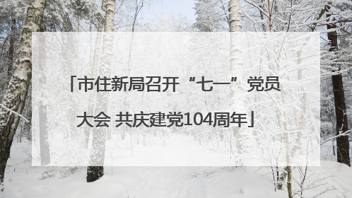 市住新局召开“七一”党员大会 共庆建党104周年