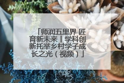 师润五里界 匠育新未来丨学科创新托举乡村学子成长之光（视频）