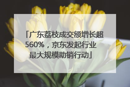 广东荔枝成交额增长超560%，京东发起行业最大规模助销行动