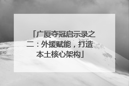 广厦夺冠启示录之二：外援赋能，打造本土核心架构