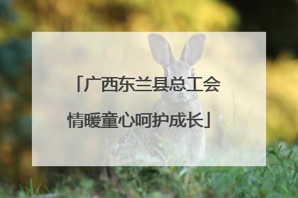 广西东兰县总工会情暖童心呵护成长