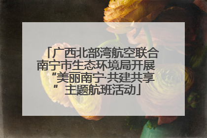 广西北部湾航空联合南宁市生态环境局开展“美丽南宁·共建共享”主题航班活动