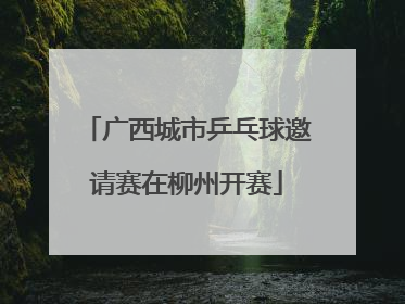 广西城市乒乓球邀请赛在柳州开赛