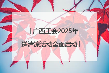 广西工会2025年送清凉活动全面启动