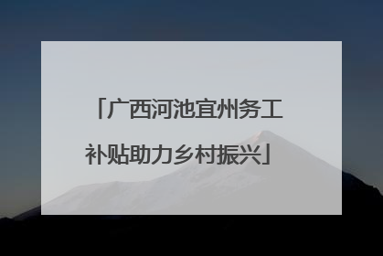 广西河池宜州务工补贴助力乡村振兴