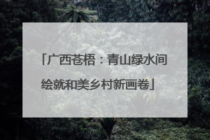 广西苍梧：青山绿水间绘就和美乡村新画卷