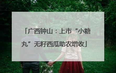 广西钟山：上市“小糖丸”无籽西瓜助农增收