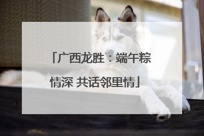 广西龙胜：端午粽情深 共话邻里情