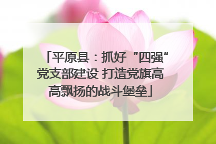 平原县：抓好“四强”党支部建设 打造党旗高高飘扬的战斗堡垒
