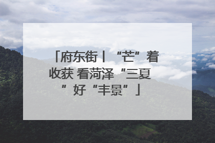 府东街丨“芒”着收获 看菏泽“三夏”好“丰景”