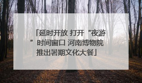 延时开放 打开“夜游”时间窗口 河南博物院推出暑期文化大餐