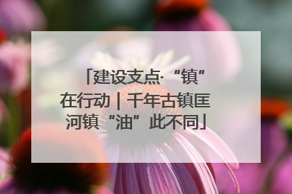 建设支点·“镇”在行动｜千年古镇匡河镇“油”此不同