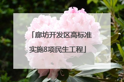 廊坊开发区高标准实施8项民生工程