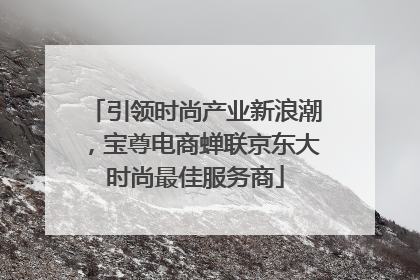 引领时尚产业新浪潮，宝尊电商蝉联京东大时尚最佳服务商
