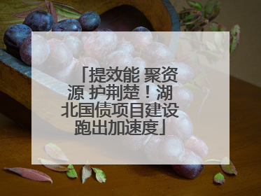 提效能 聚资源 护荆楚！湖北国债项目建设跑出加速度