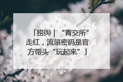 捞舆｜“青交所”走红，流量密码是官方带头“玩起来”