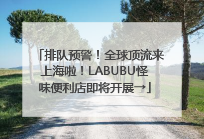 排队预警！全球顶流来上海啦！LABUBU怪味便利店即将开展→